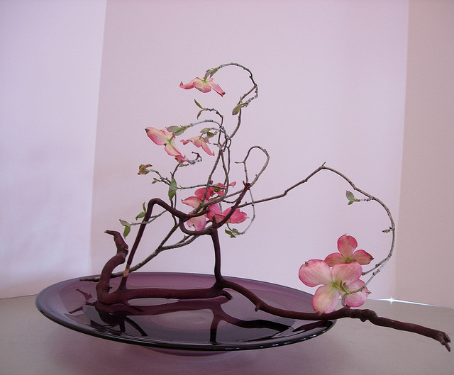 Resultado de imagem para imagens de ikebanas de paz