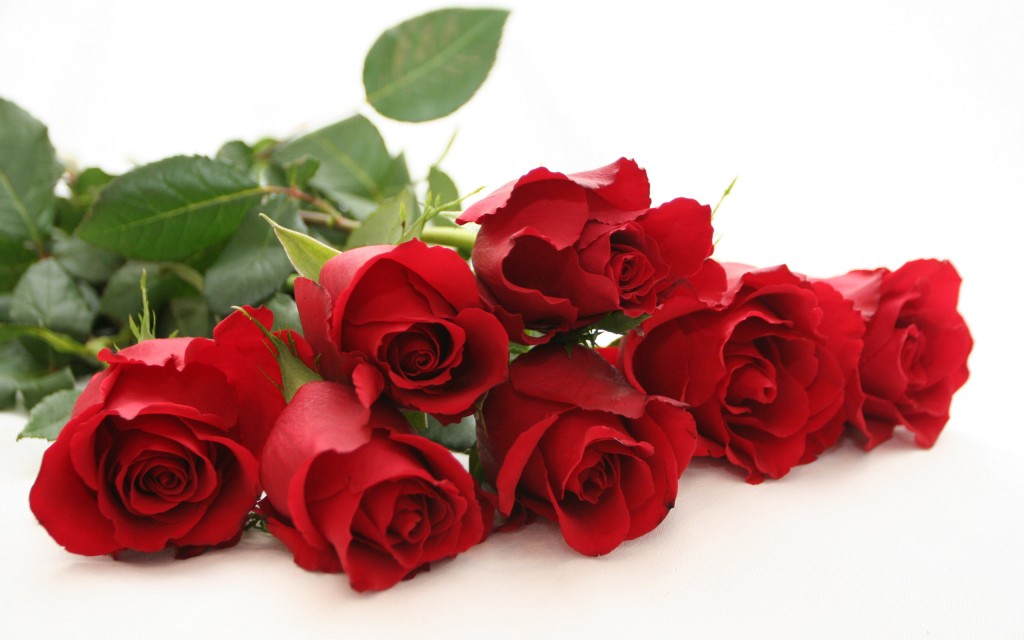 traditional-red-roses-for-valentines-day_216763-1024x640.jpg